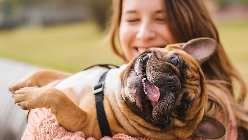 WEEK VD HOND 4.jpg